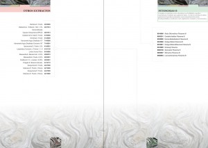 Catalogue layout - Inner double page - Products