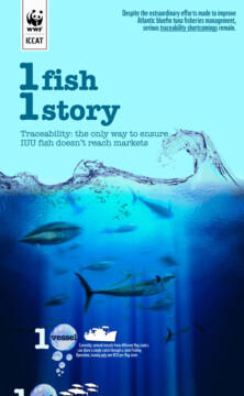 WWF * 1 fish 1 story