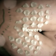Flowers (video creation)